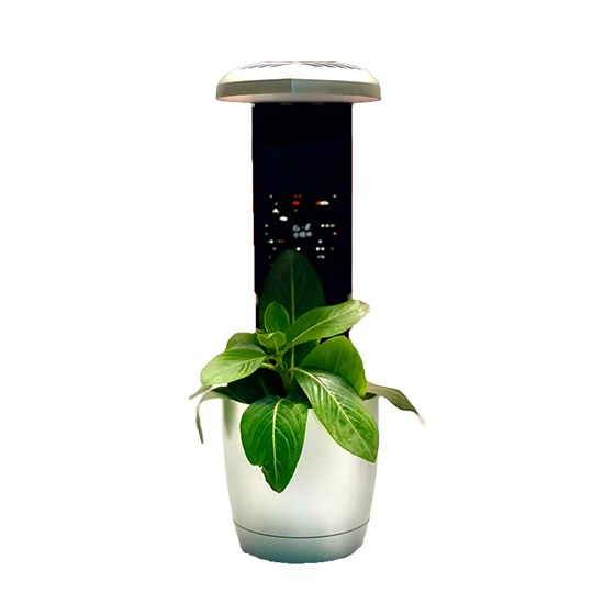 Multiple usage flowers pot