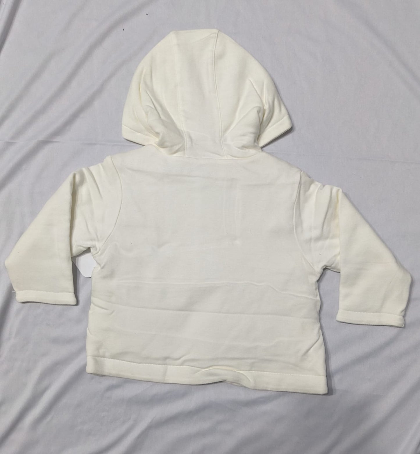 Double cotton with polyester filling Full sleeves Hoodie CM0095