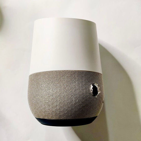 Google Home device promotional torn with original power adopter