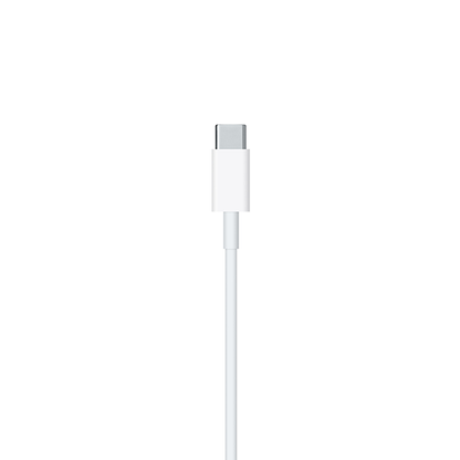 USB-C to Lightning Cable (2 m)