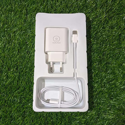 WUW T81 20w Fast charger set 20w type c output with 1m USB C to C cable
